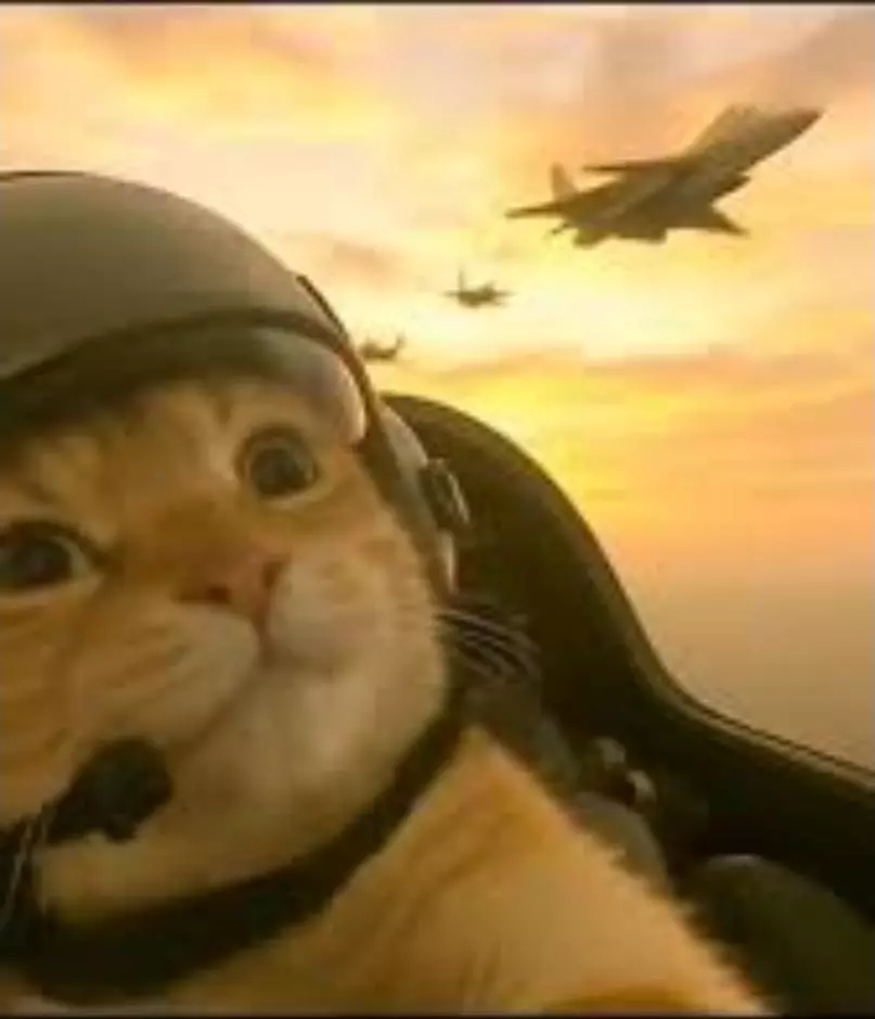 UPS 2 day air upgrade thumbnail