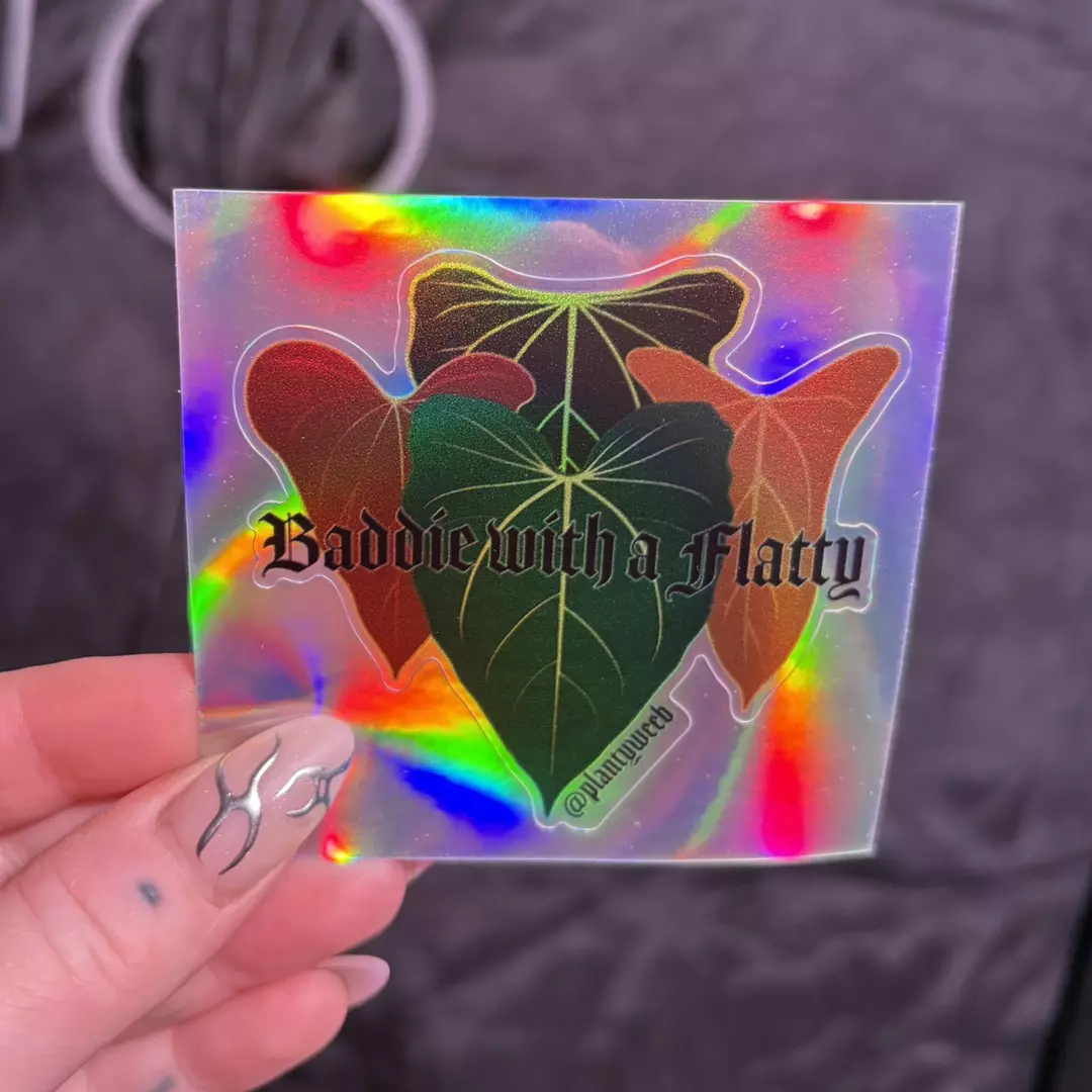 Baddie with a Flatty Small Sticker thumbnail