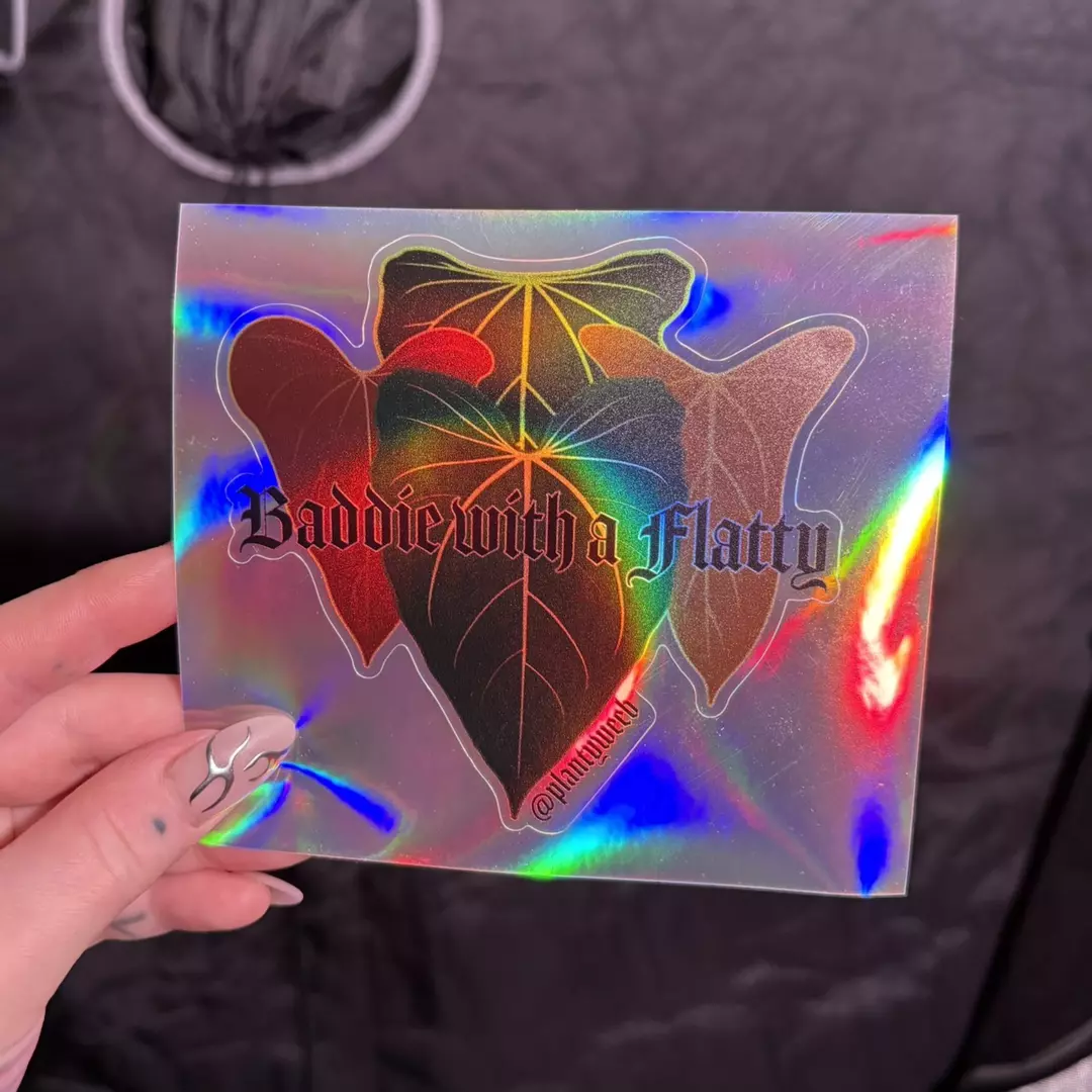 Baddie with a Flatty Large thumbnail