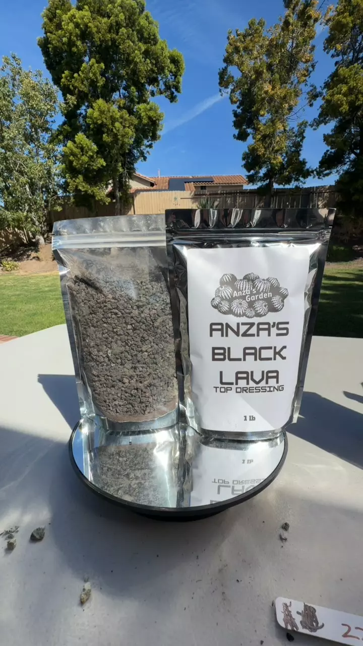 ANZAS BLACK LAVA TOP DRESSING thumbnail