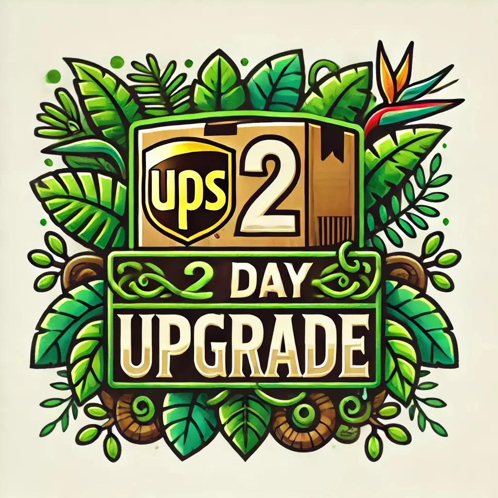 UPS 2 Day Upgrade thumbnail