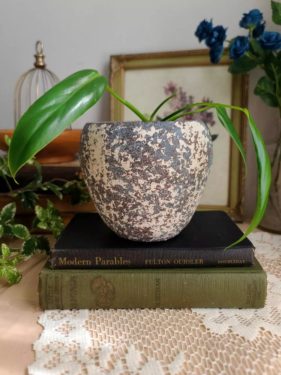 Blue Speckled Pot thumbnail