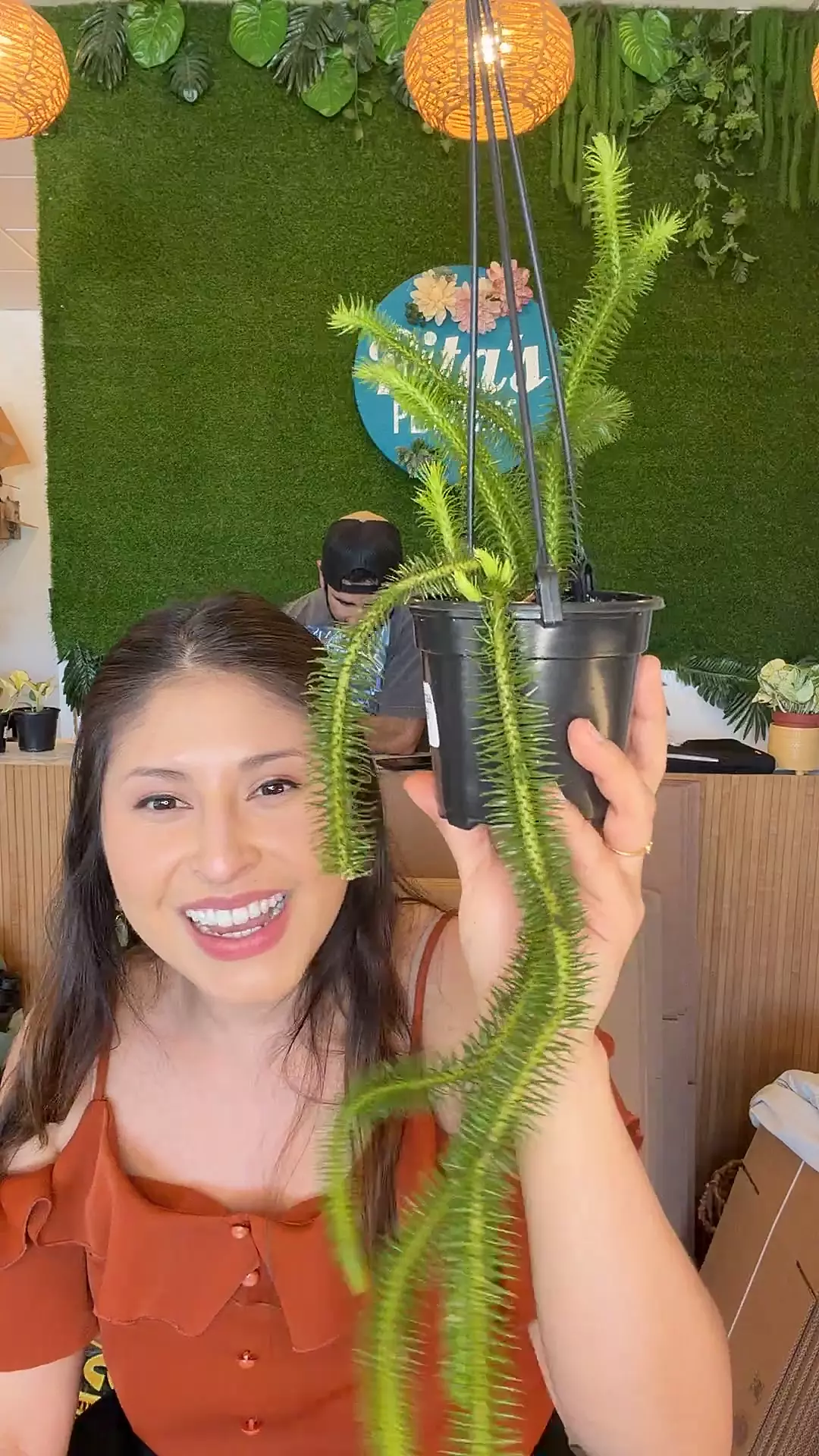 Huperzia Thailand thumbnail