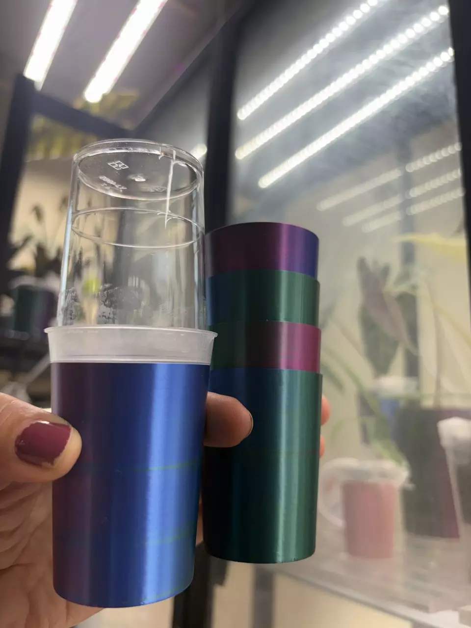 5 set corm grow cups with lids thumbnail