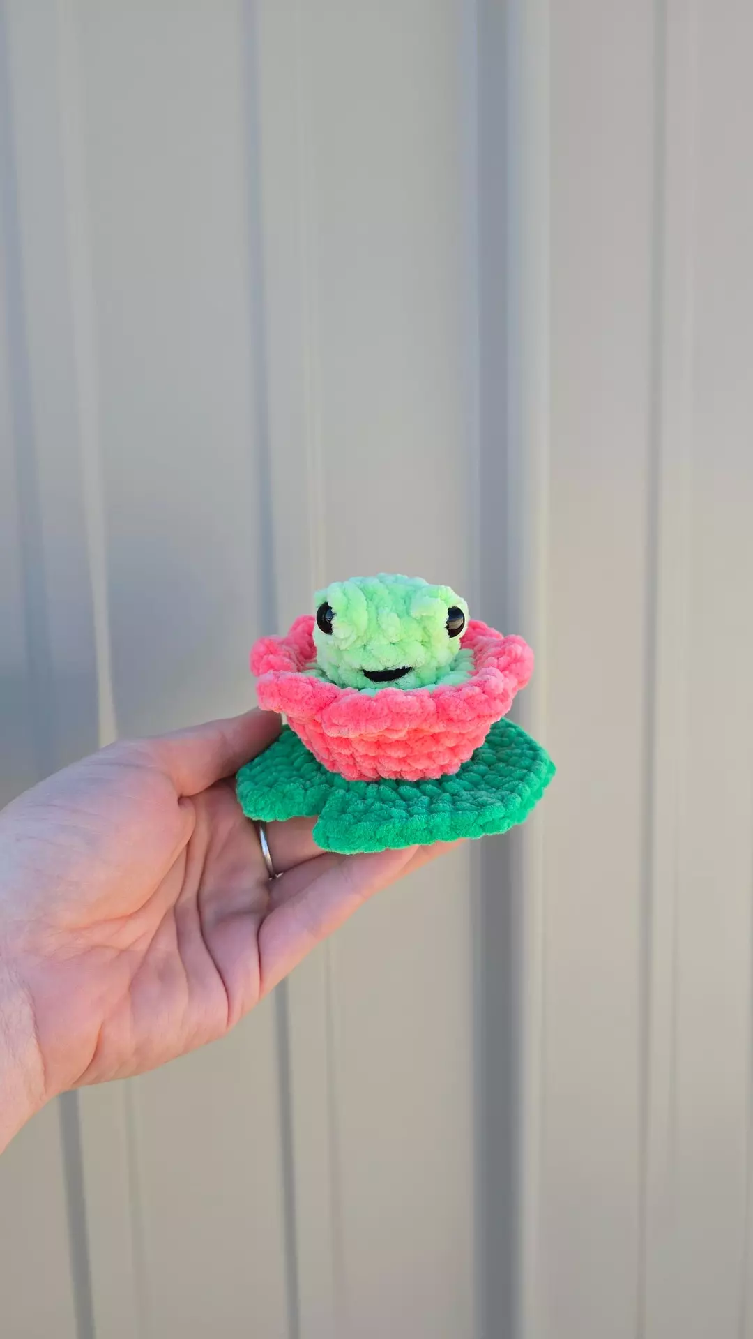 Frog Pop Fidget thumbnail