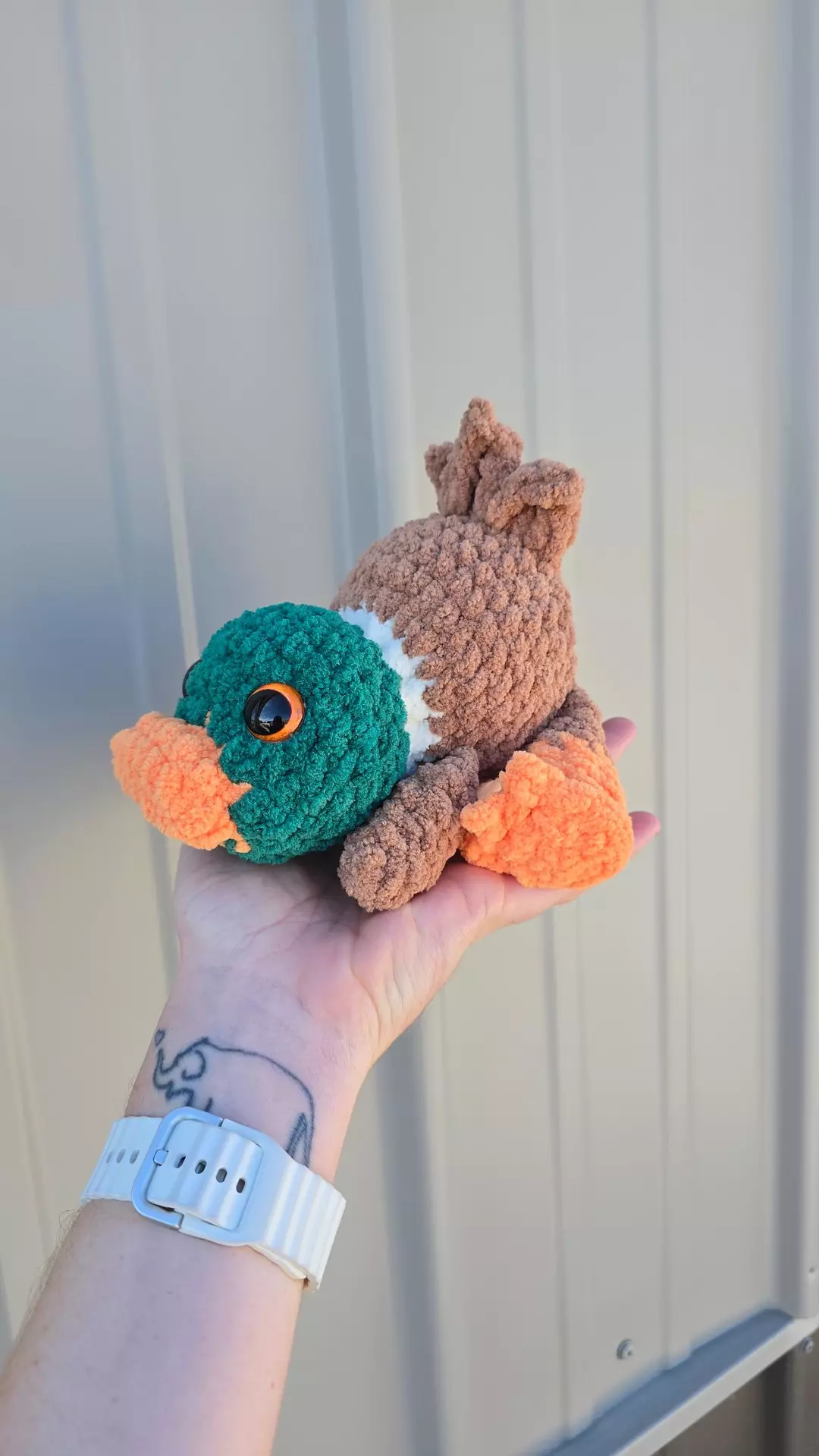 Mallard Duck thumbnail