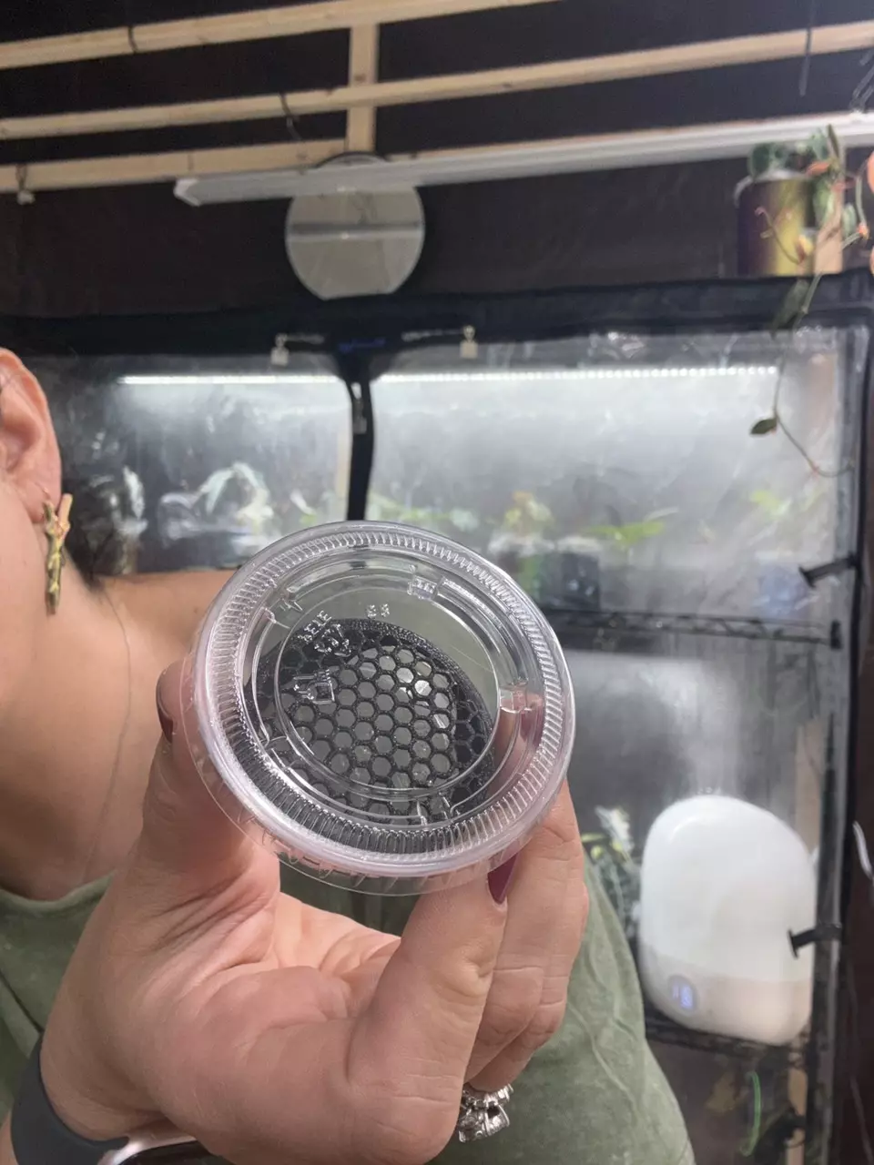 corm cages 5 counts for puddle method thumbnail