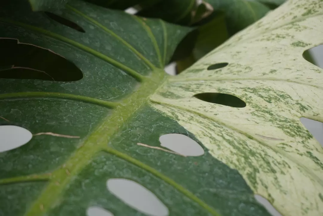 Insulation + HEATPACK thumbnail