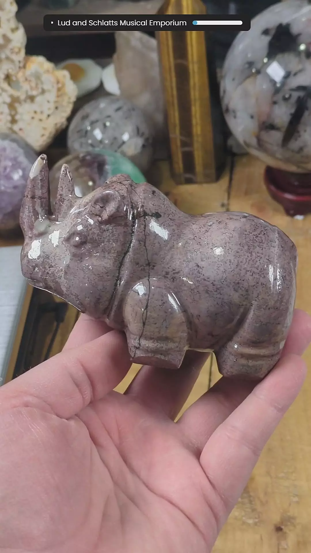 Picture Jasper Rhino ~1.59 Pounds thumbnail
