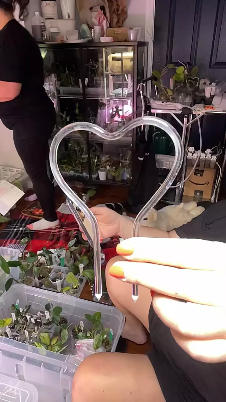 Mini Acrylic Heart Trellis thumbnail