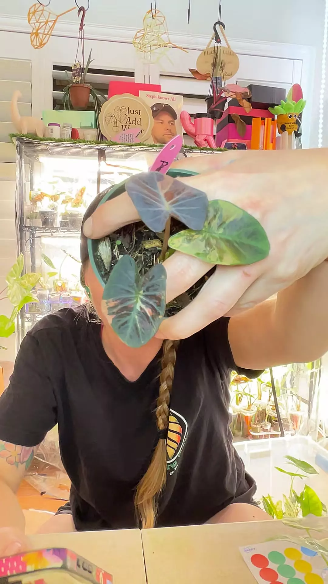 3075 Assadong thumbnail