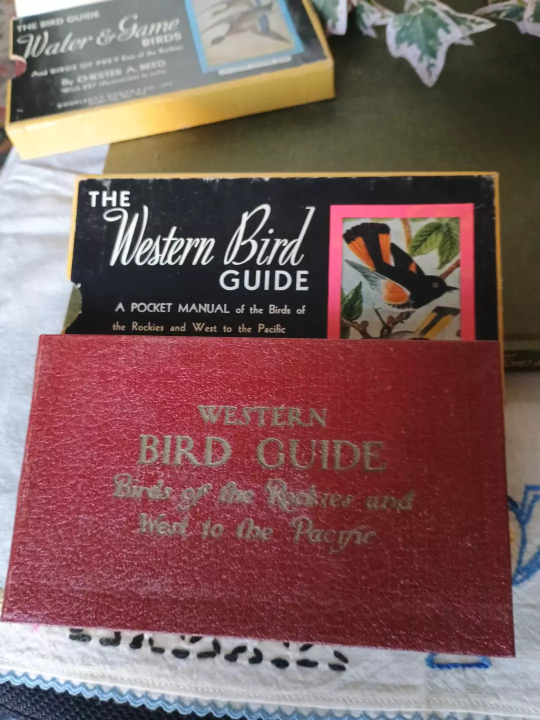 1940s Bird Guide and box thumbnail