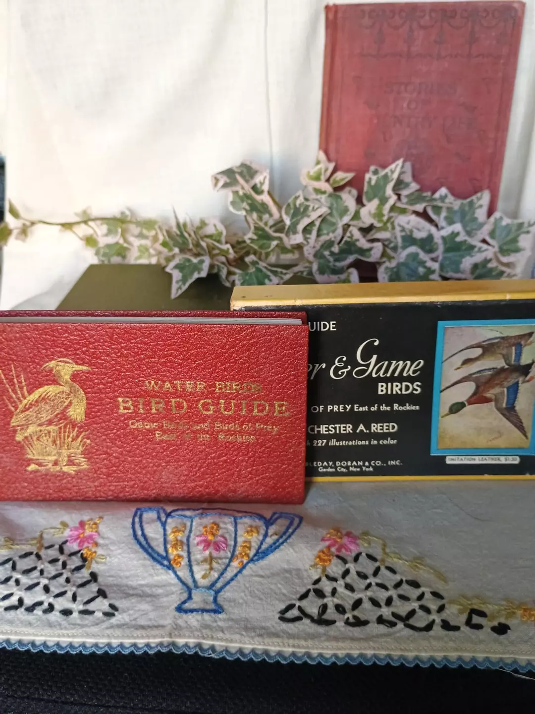 1940s Water Foul guide and box thumbnail