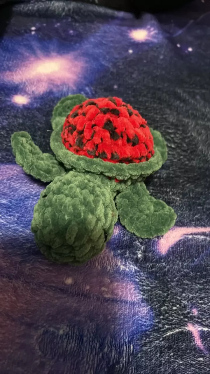 watermelon green turtle thumbnail