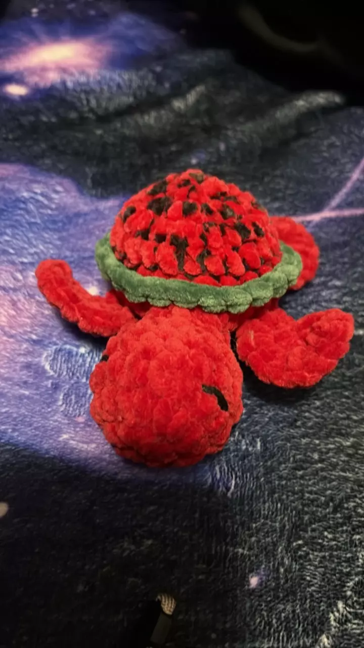 watermelon turtle thumbnail