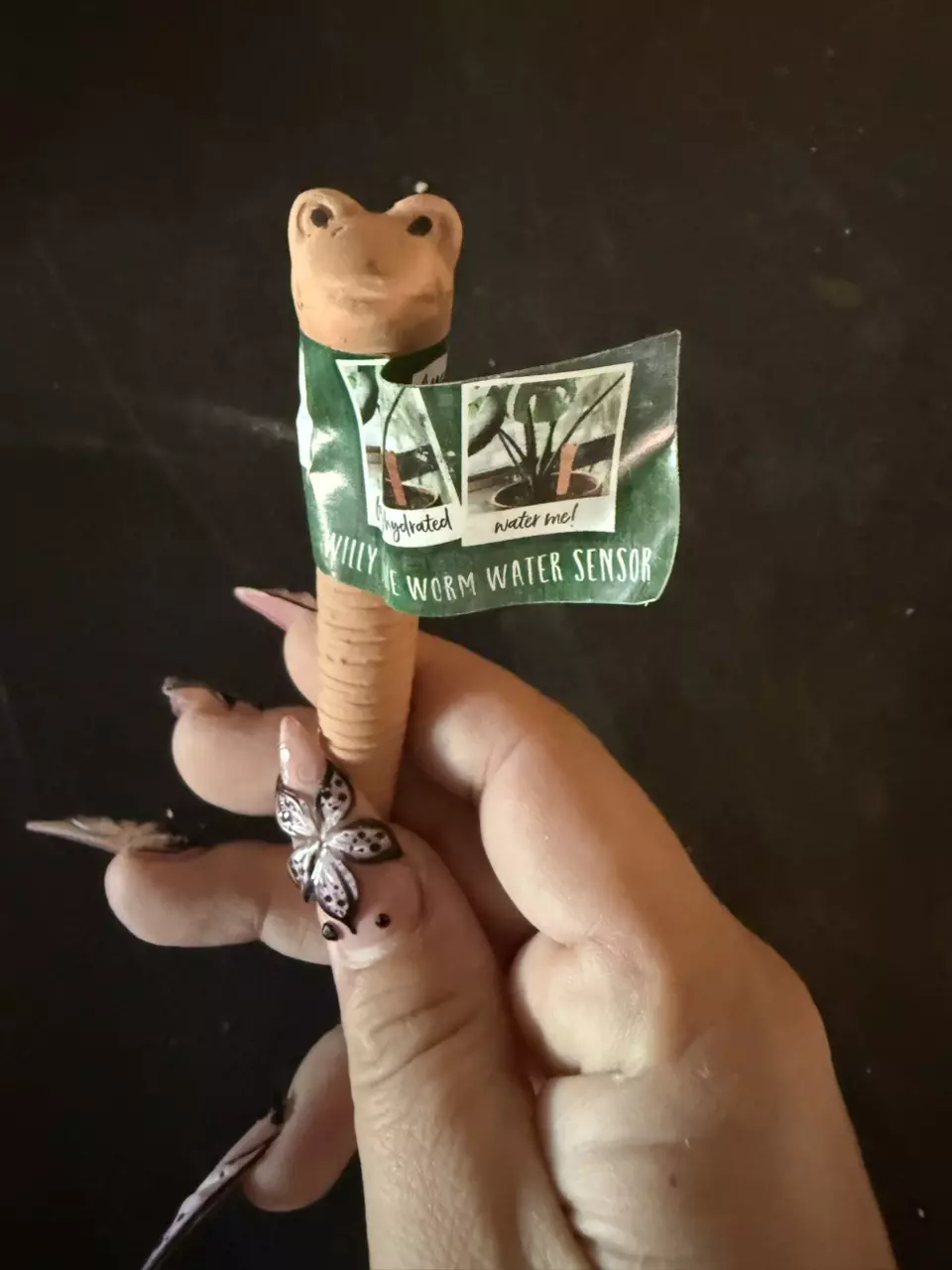 Small Willy thumbnail