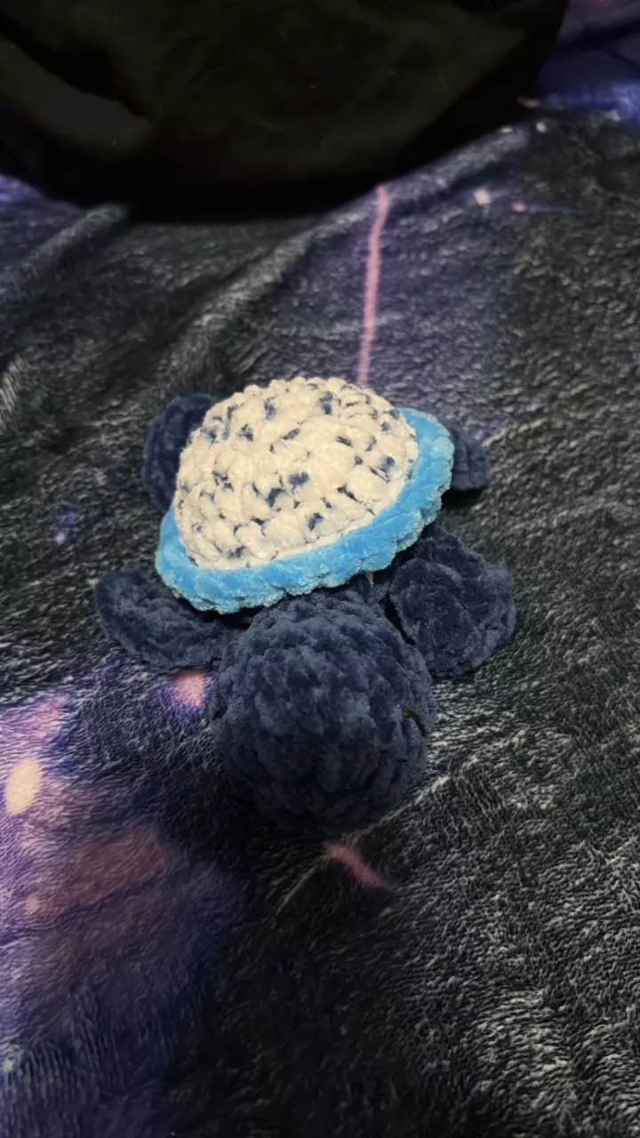 blueberry turtle thumbnail