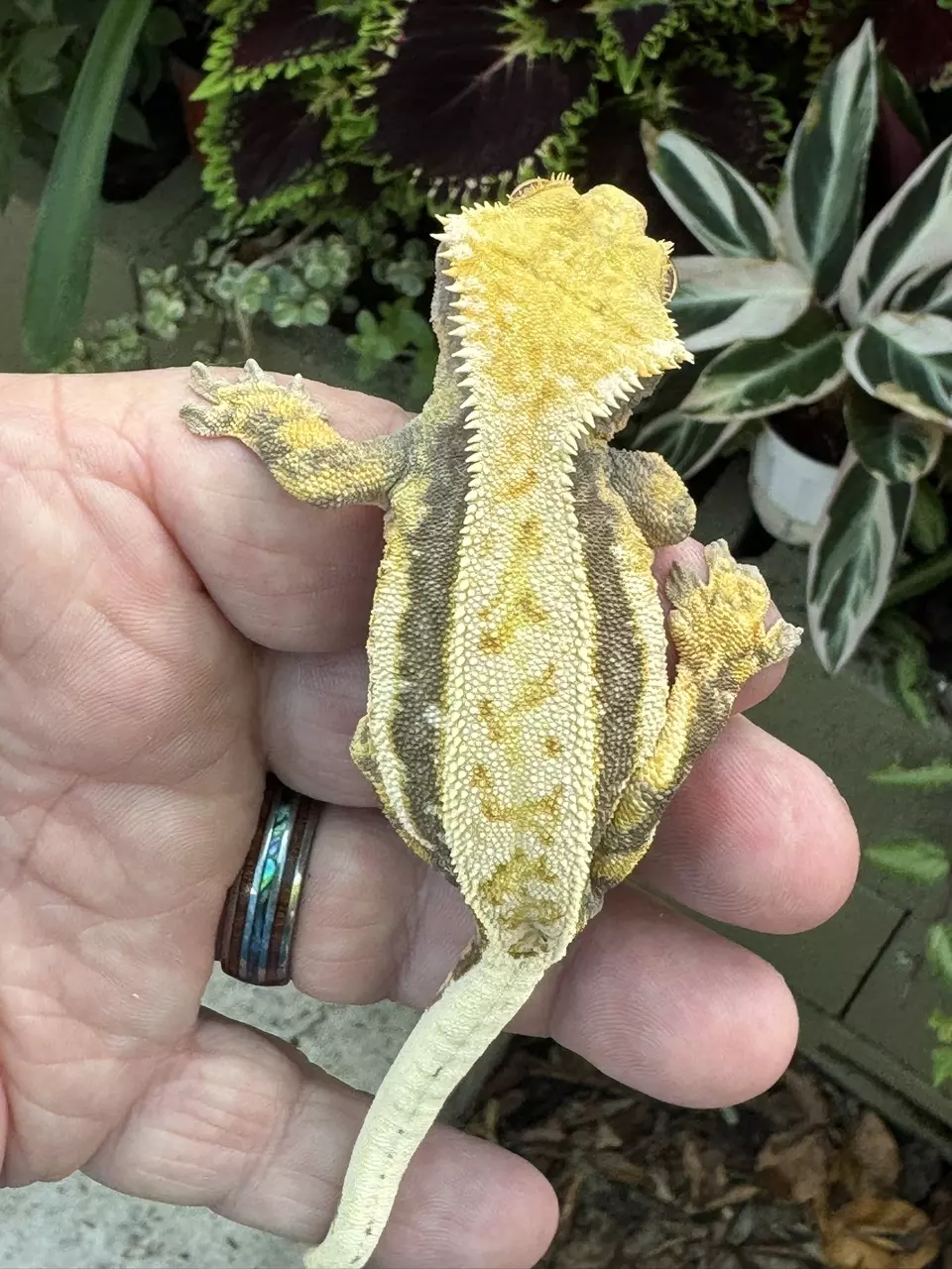 08 starwar thumbnail