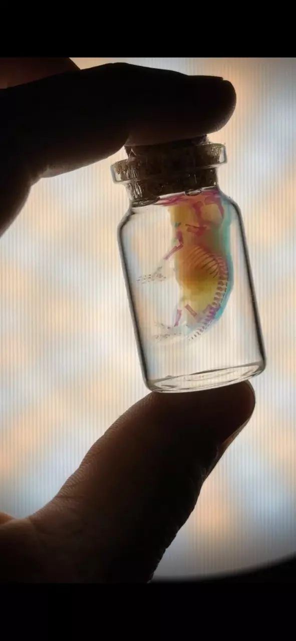 Ethically Sourced Diaphonized Medium Pinky Mouse thumbnail