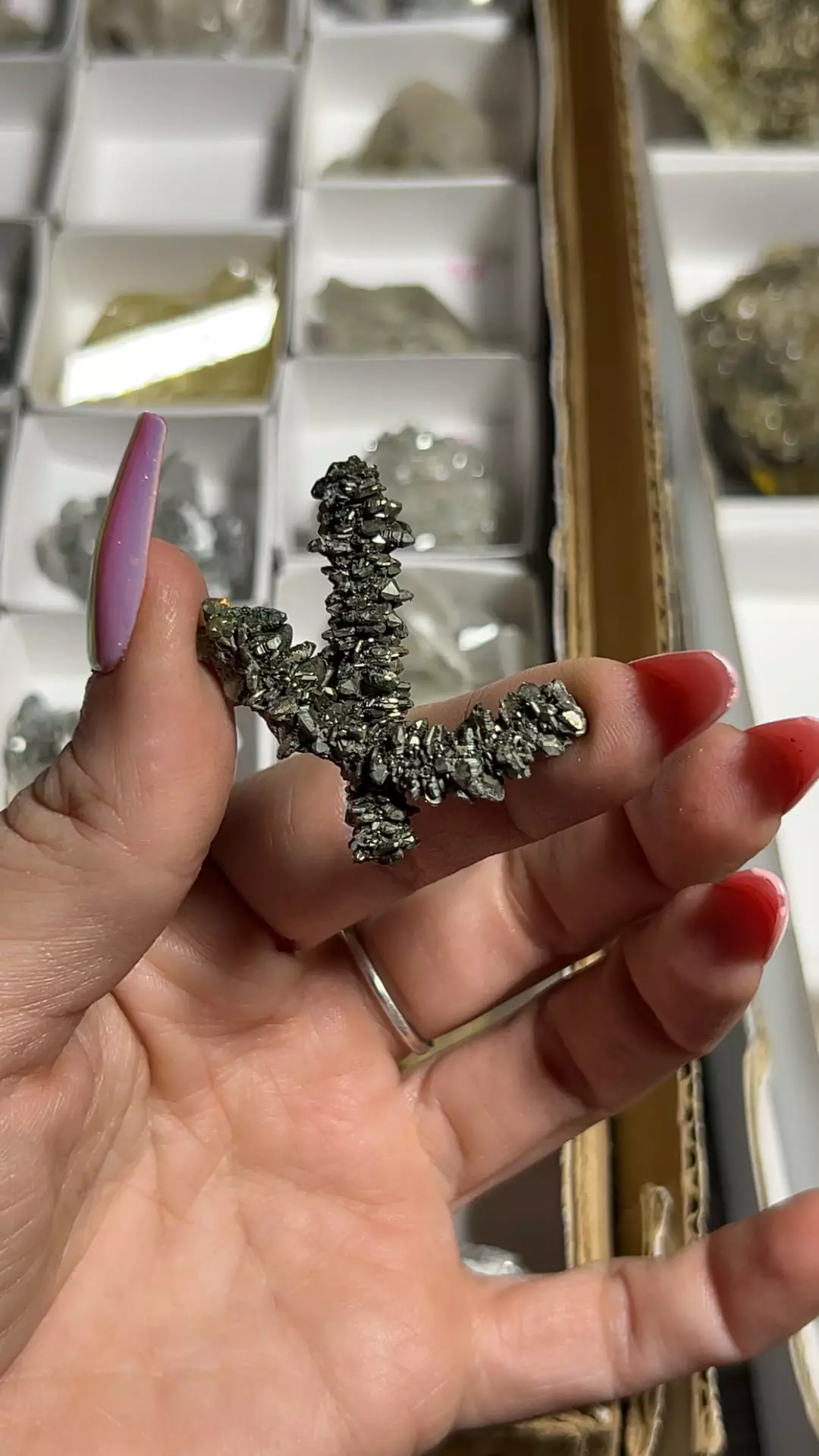 Cockscomb Marcasite from Linwood Mine, Iowa thumbnail