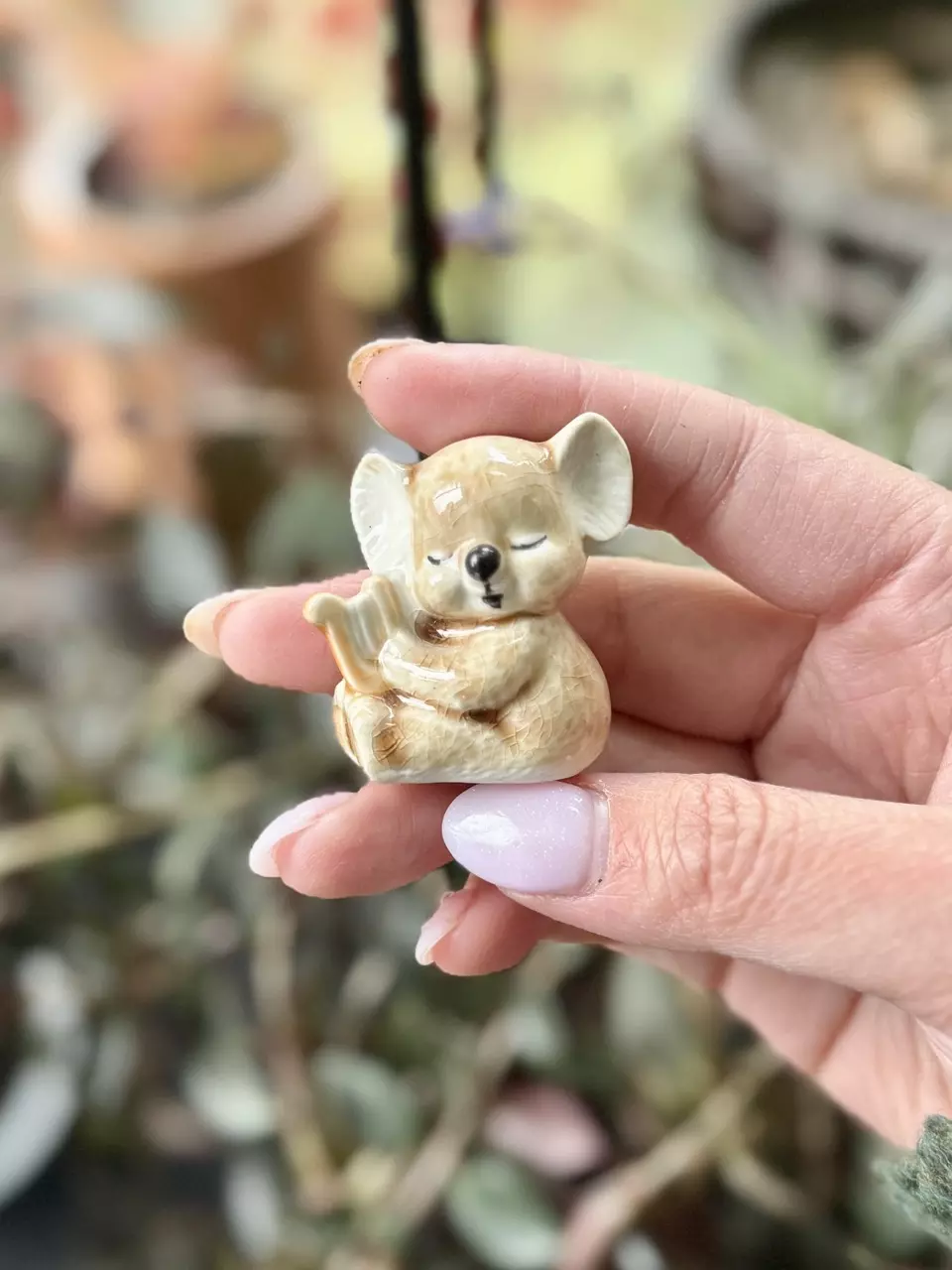 Mini koala thumbnail