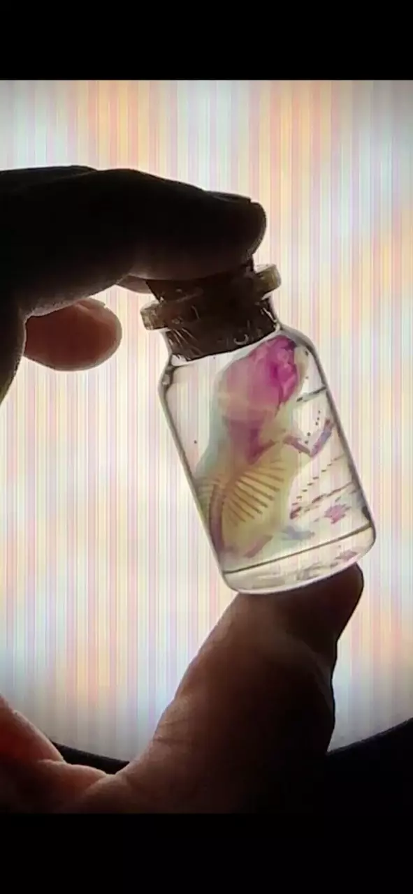 Ethically Sourced Diaphonized Pinky Mouse Large thumbnail