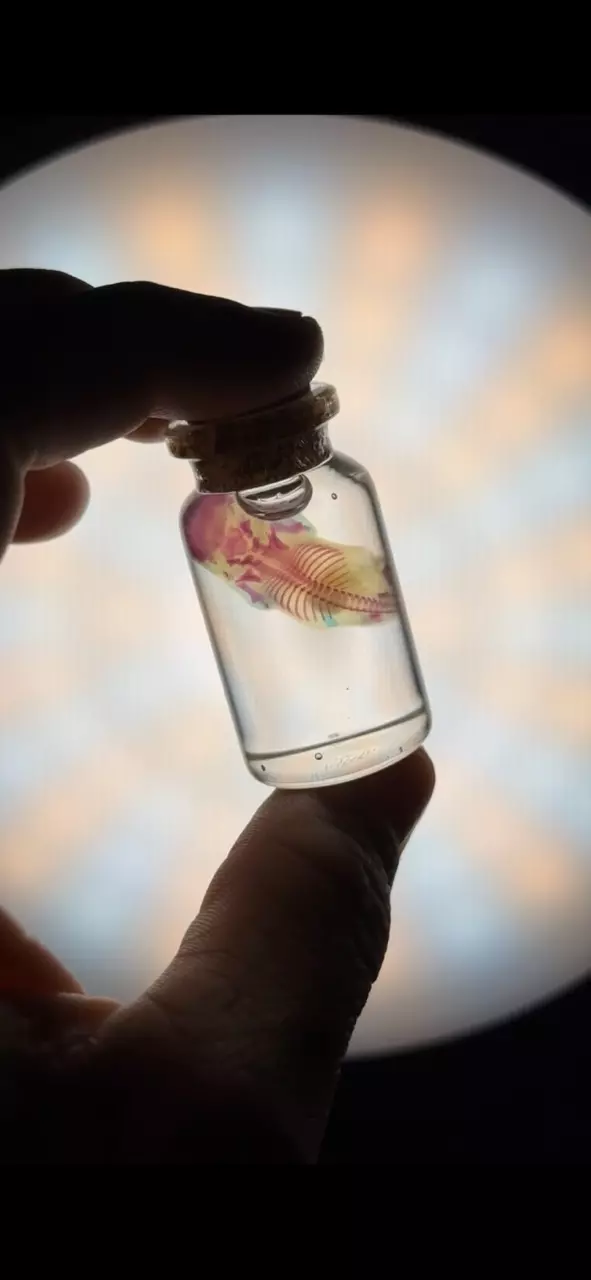 Ethically Sourced Diaphonized XSmall Pinky Mouse- Fetal thumbnail