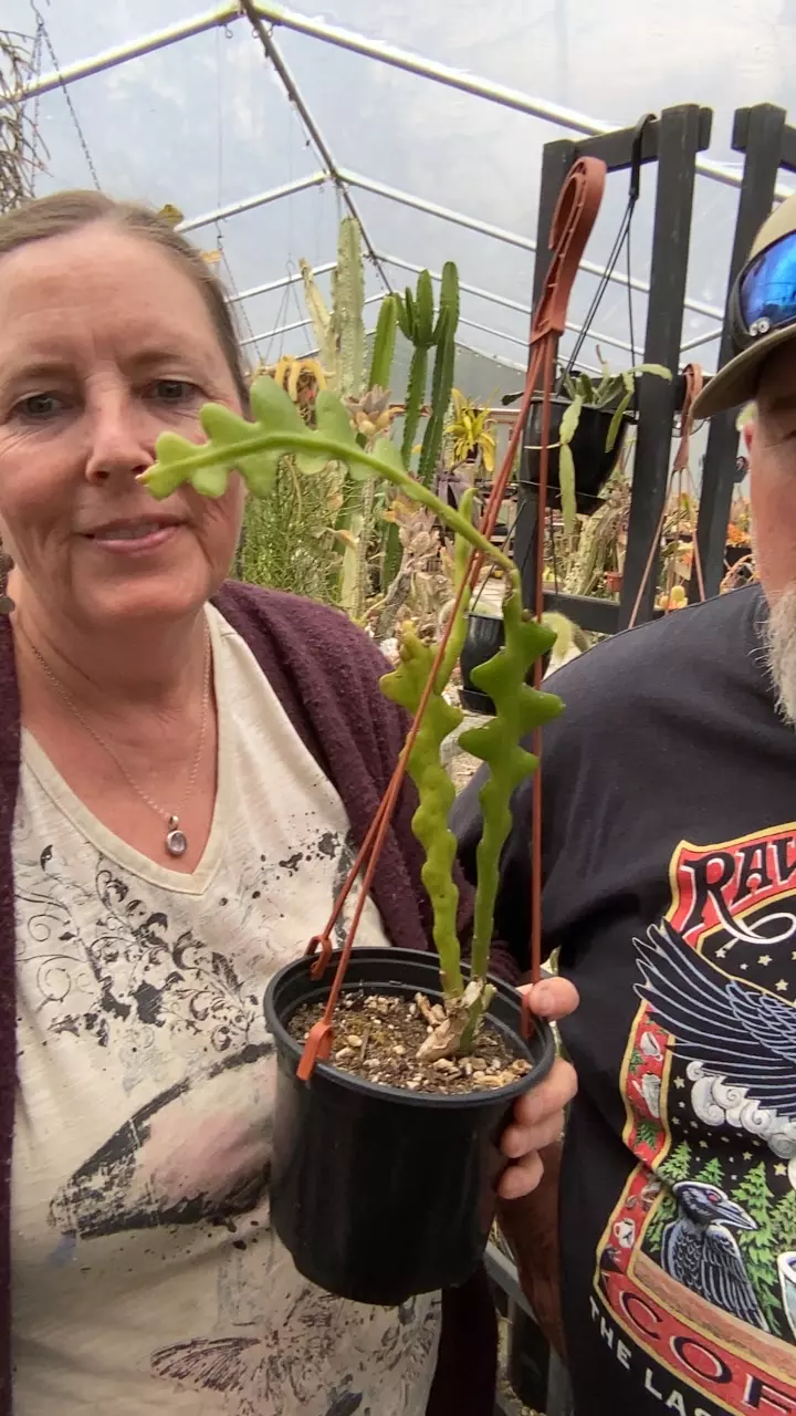 ric rac 6” thumbnail