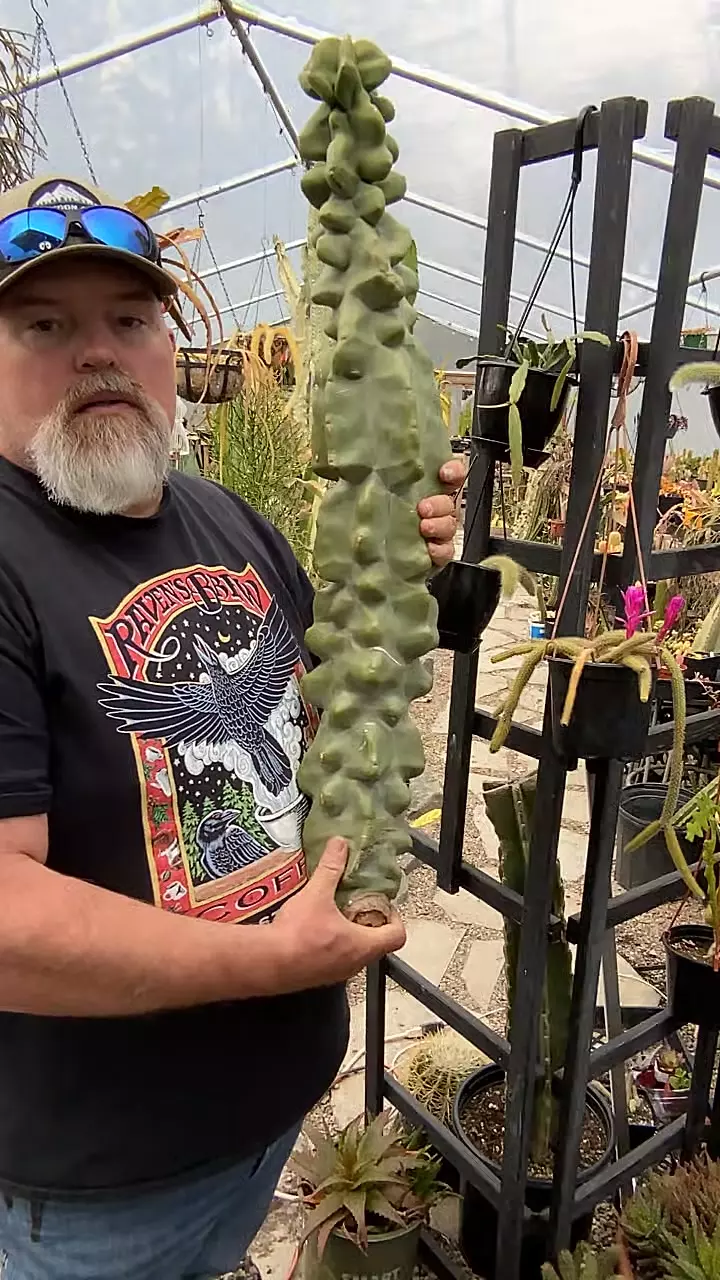 32” Totem cutting thumbnail