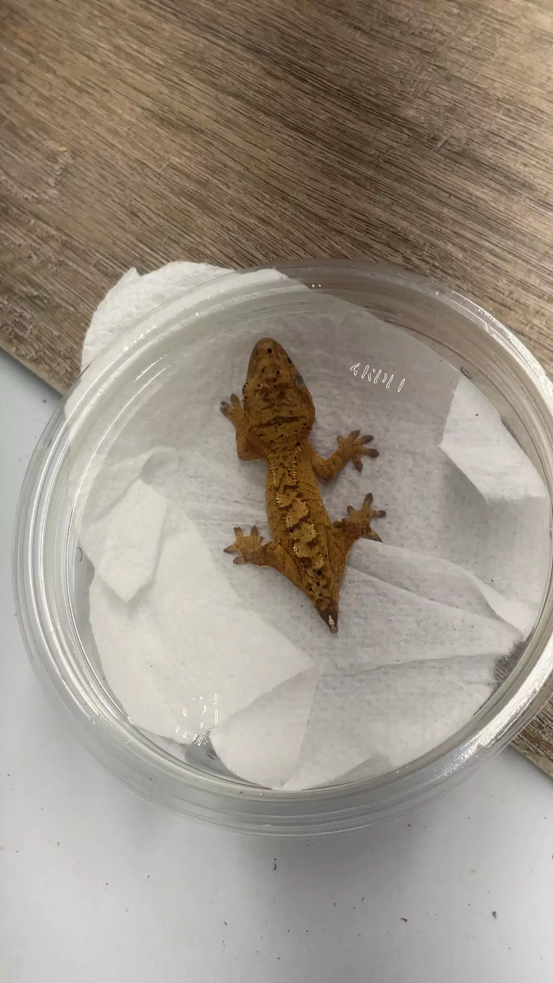 a14. 66%pos het ax 6g NPV dal spots Voldemort X Sinestra thumbnail