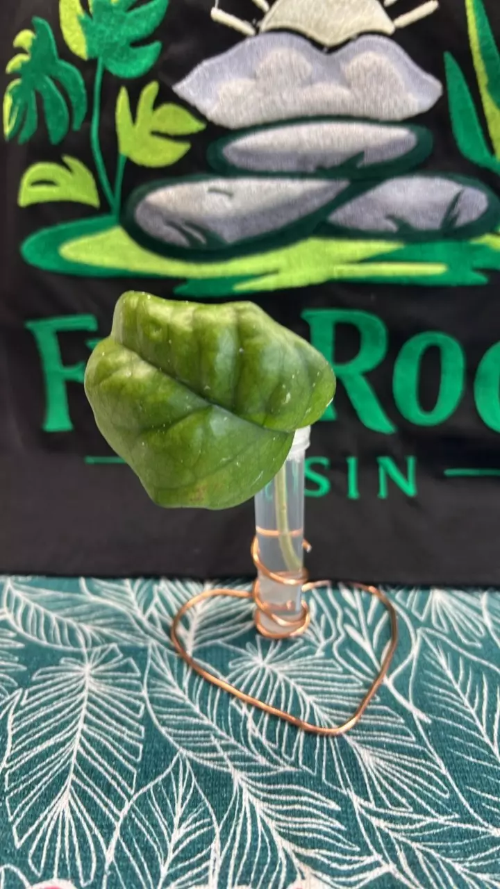 0367 Col Meekins thumbnail