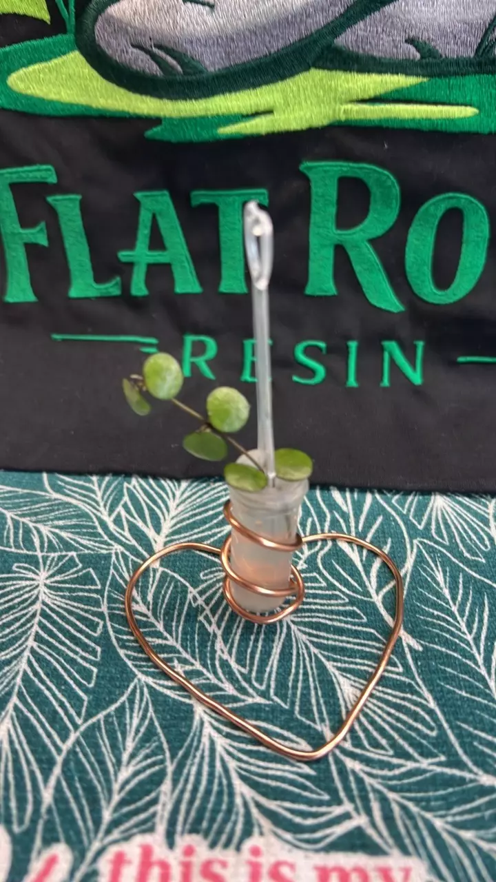 0386 Peltata thumbnail