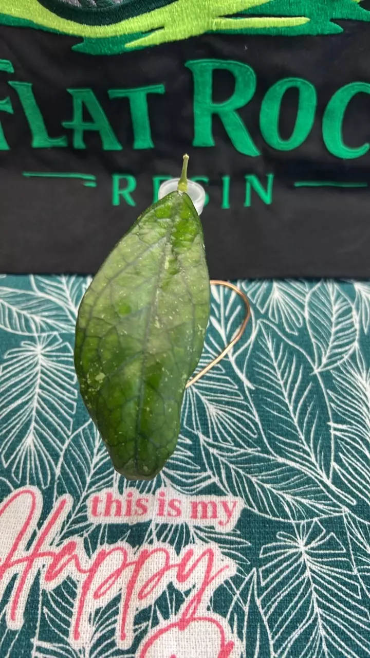 0357 Sp Germany thumbnail