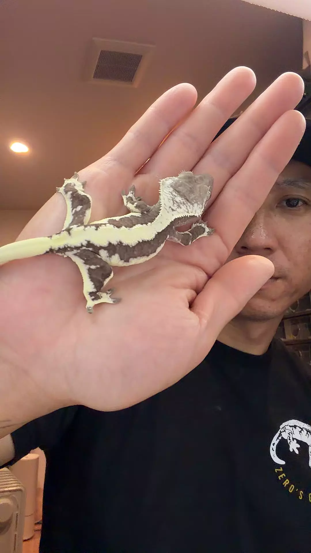 13g no pores axanthic Lilly thumbnail