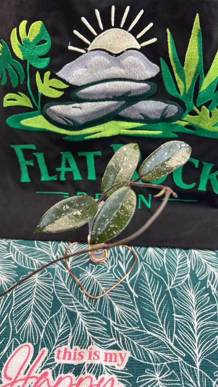 0355 SMS Crystal thumbnail