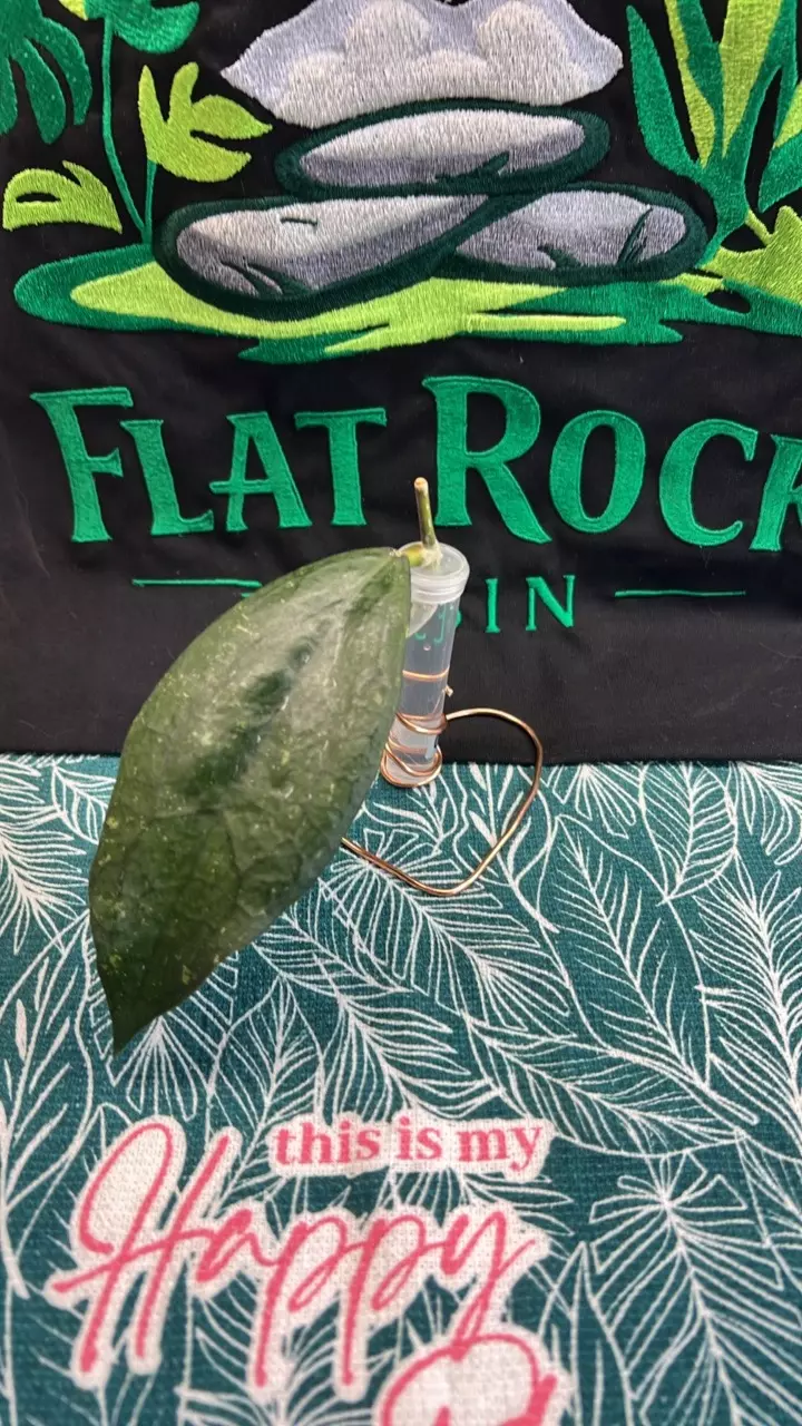 0361 Cv Jennifer thumbnail