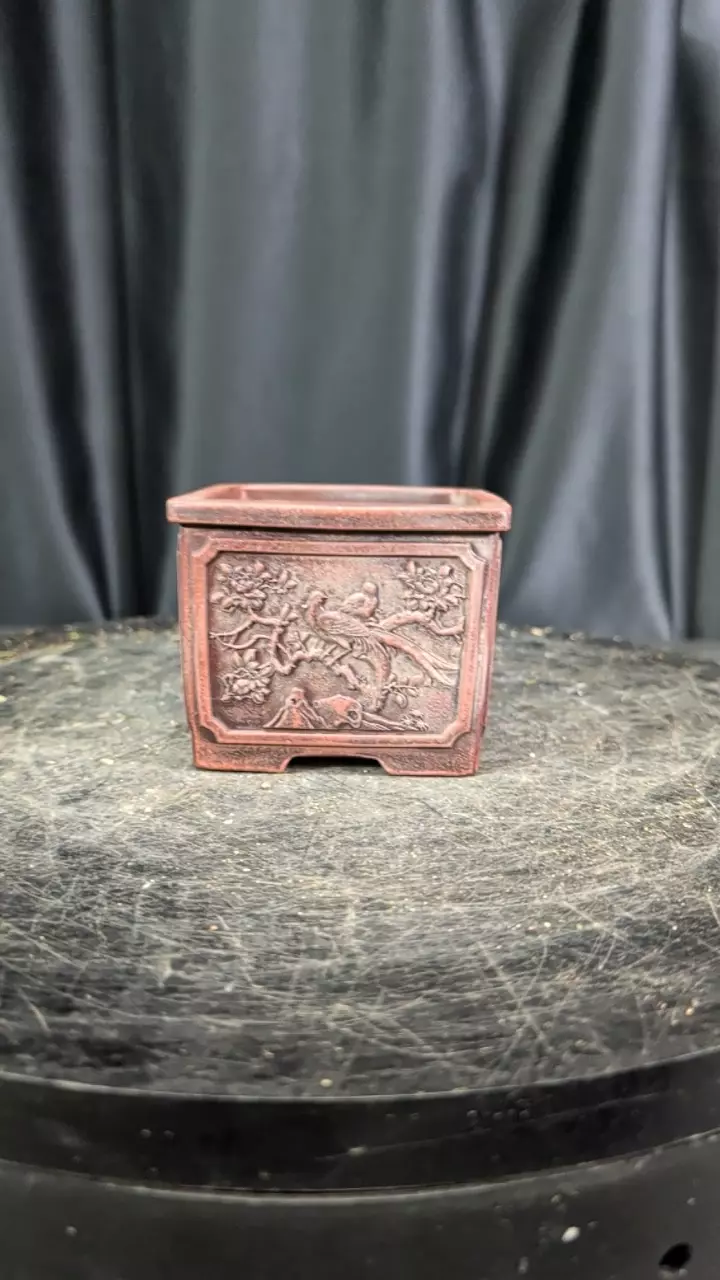 bird pot sellers choice thumbnail