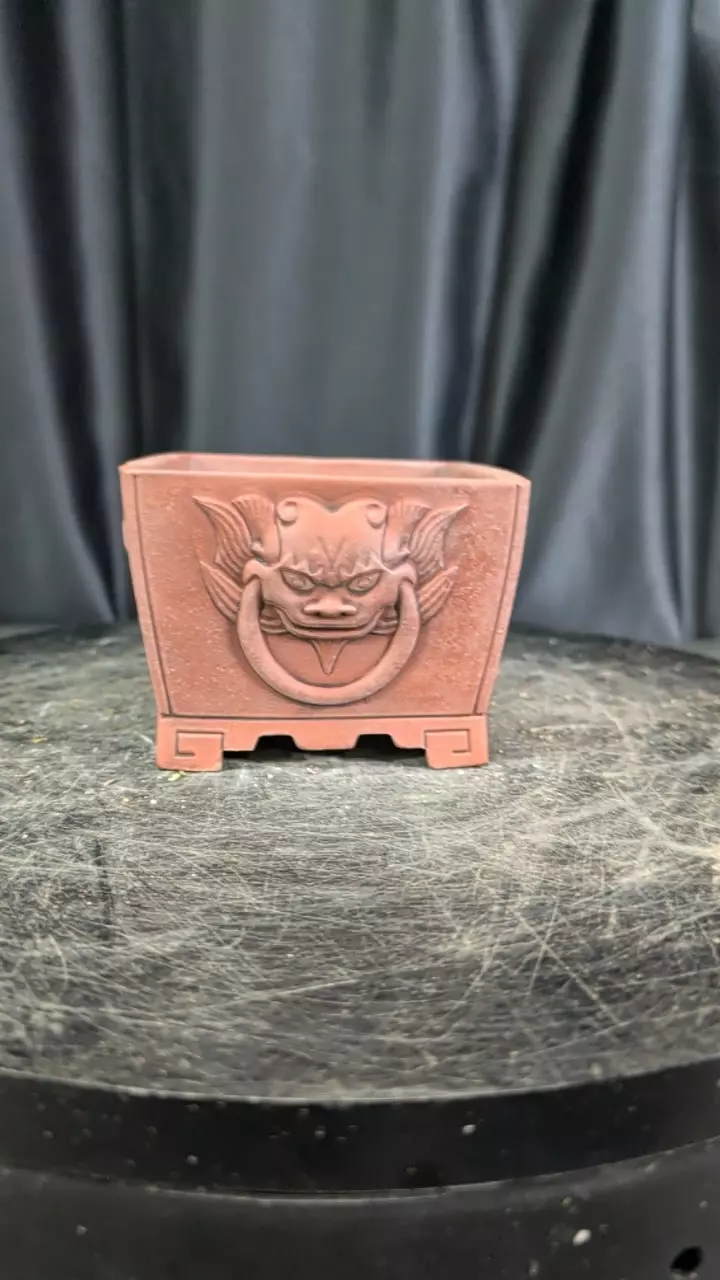 demon semi Cascade pot sellers choice thumbnail