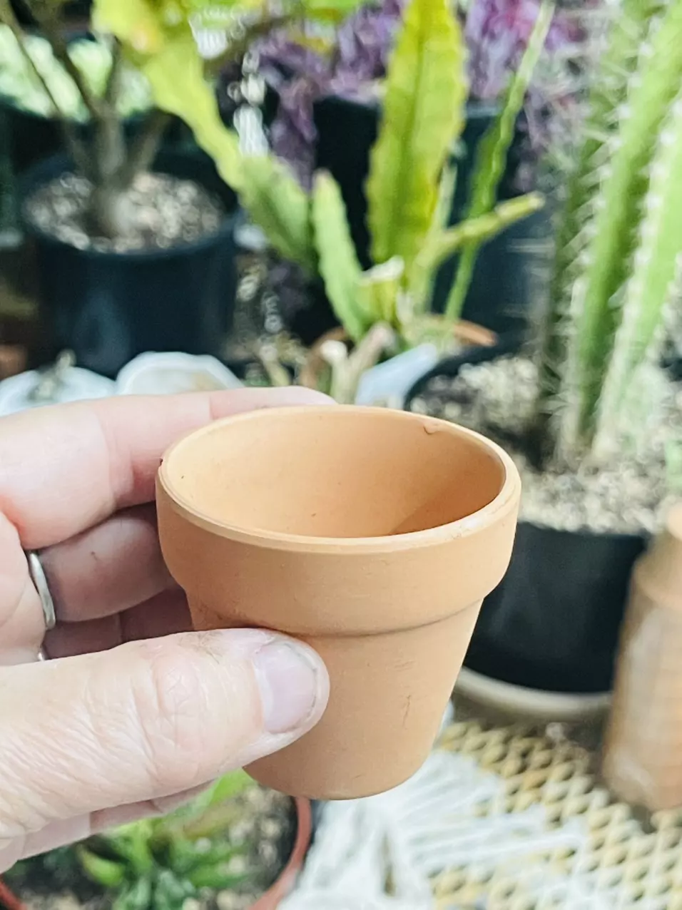 2” Fairy pot thumbnail