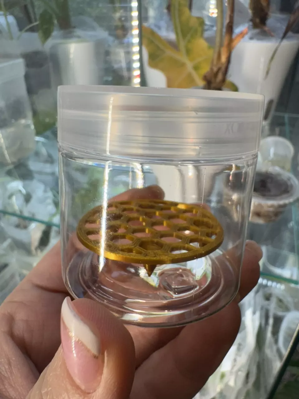 Pot + Corm Riser, Gold thumbnail