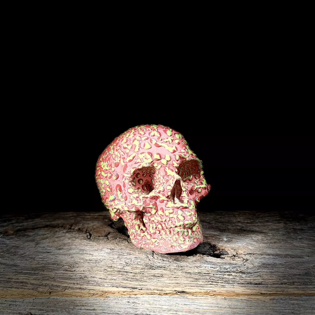 Staging Skull - Large (Glazed) thumbnail