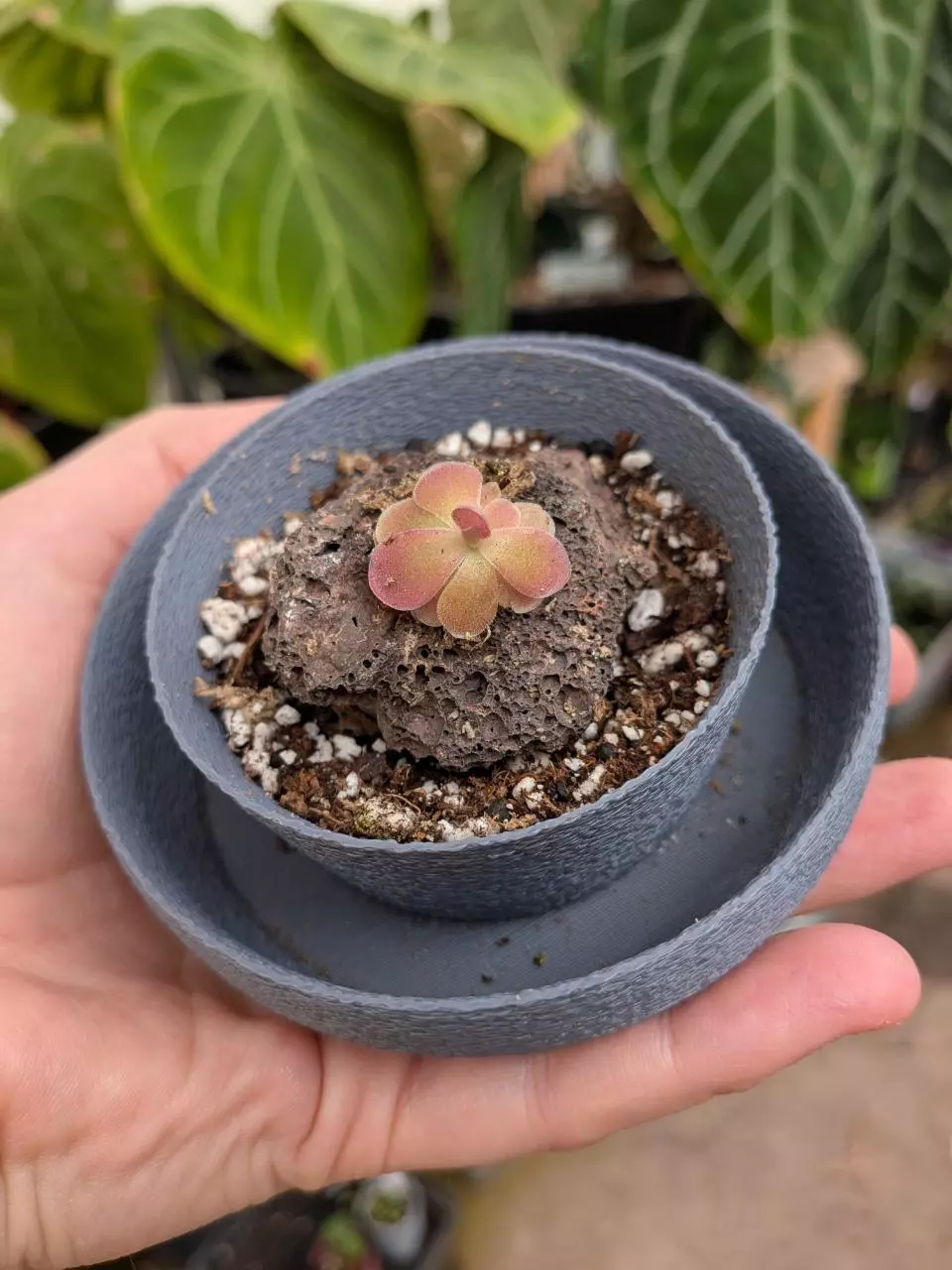 ping kit w/ small ping pot thumbnail
