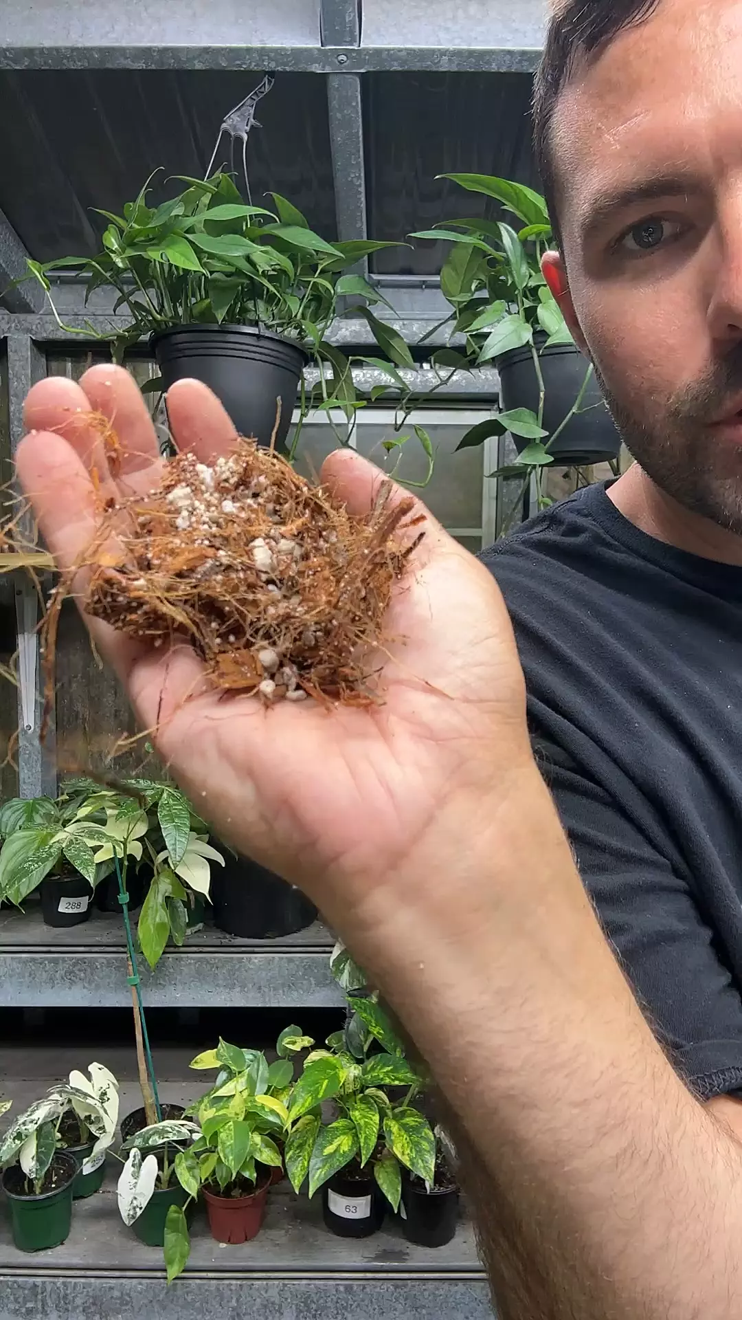 chunky mix thumbnail