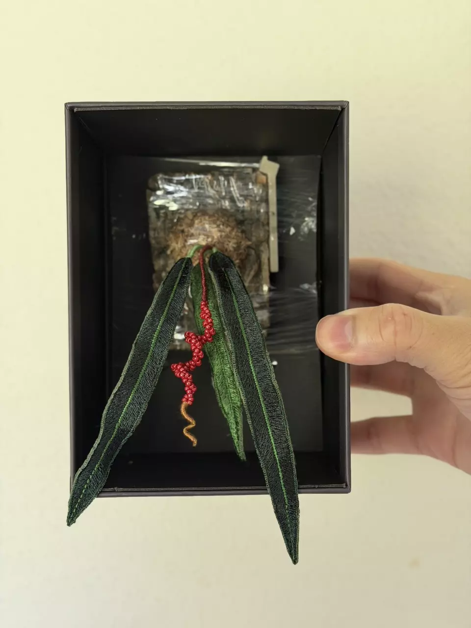 W1 Anthurium wendlingeri embroidered magnet thumbnail