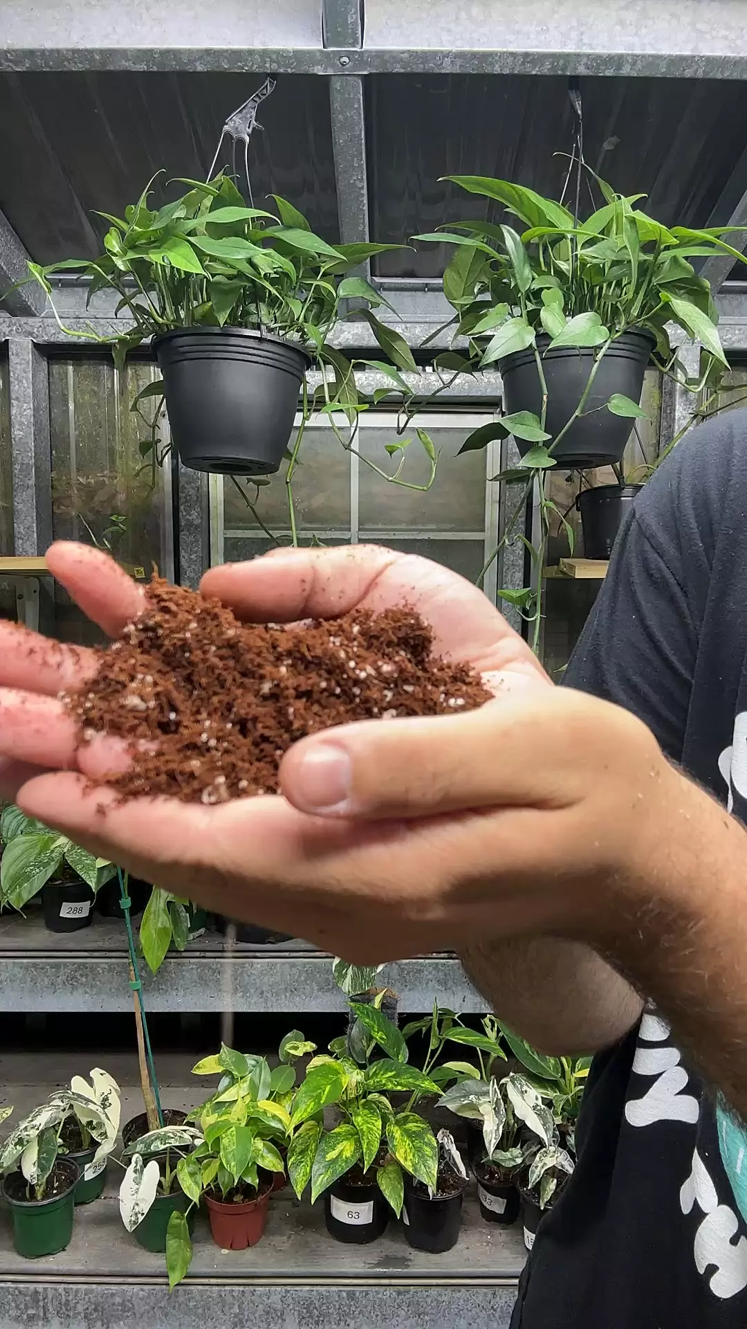 coco coir mix thumbnail