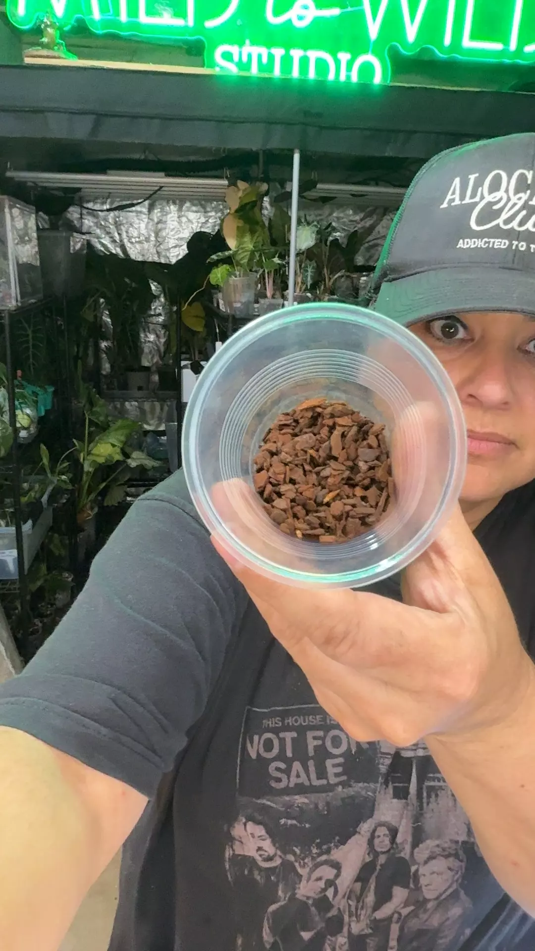 Fine orchid bark 1 gallon thumbnail