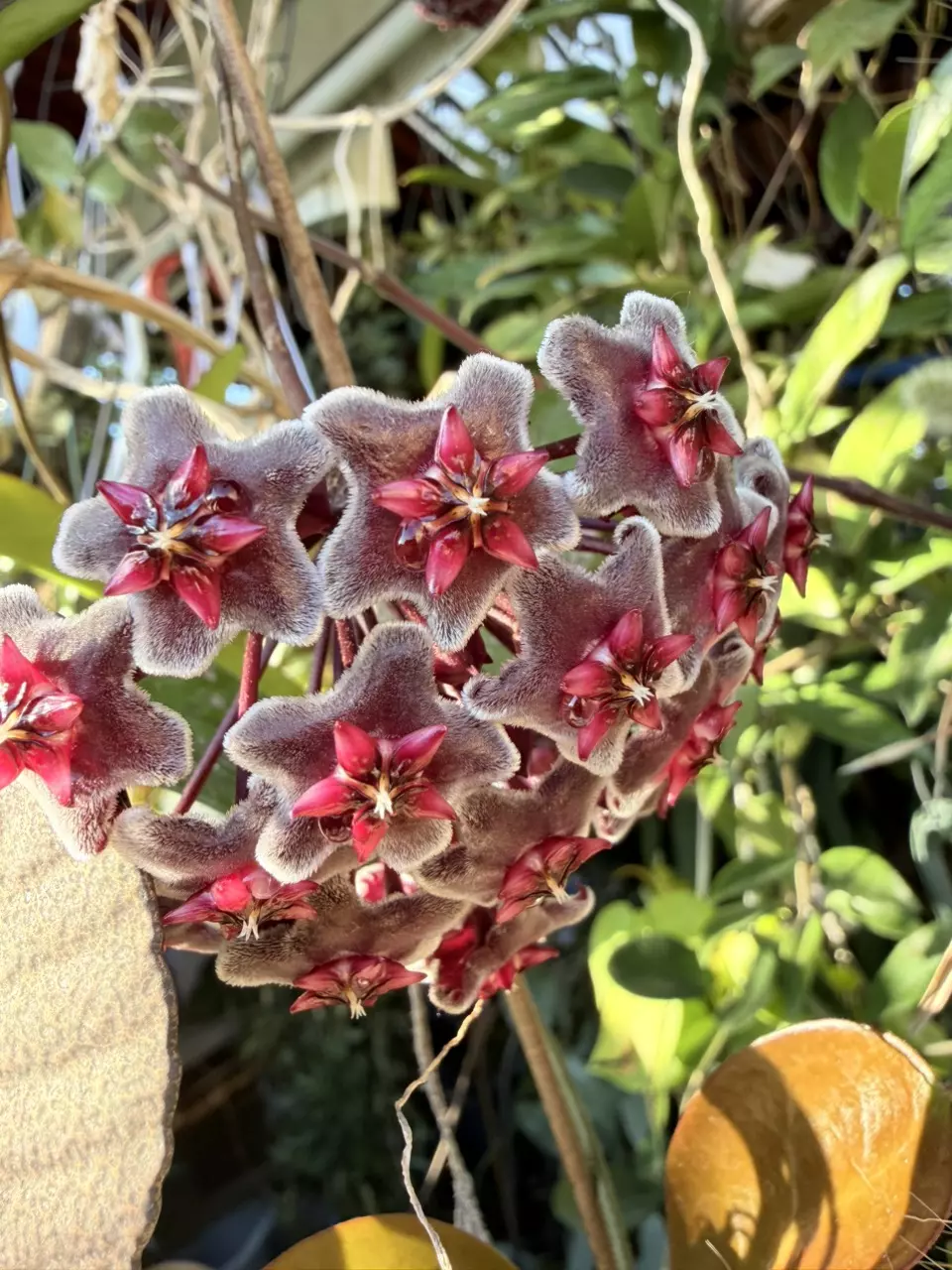 insulation thumbnail