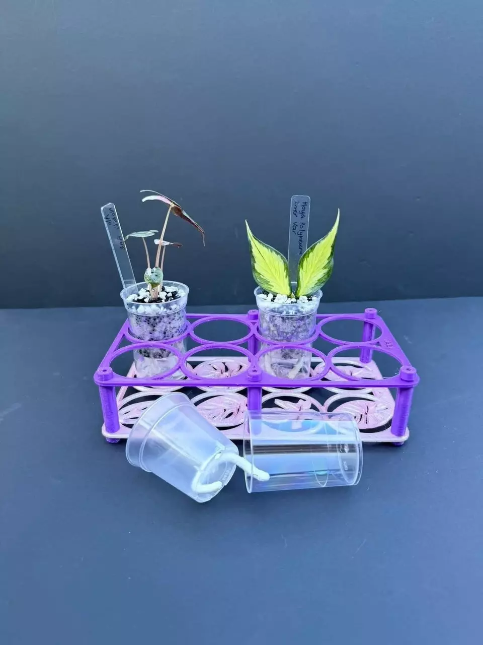 cup holder only for self watering pup cups thumbnail