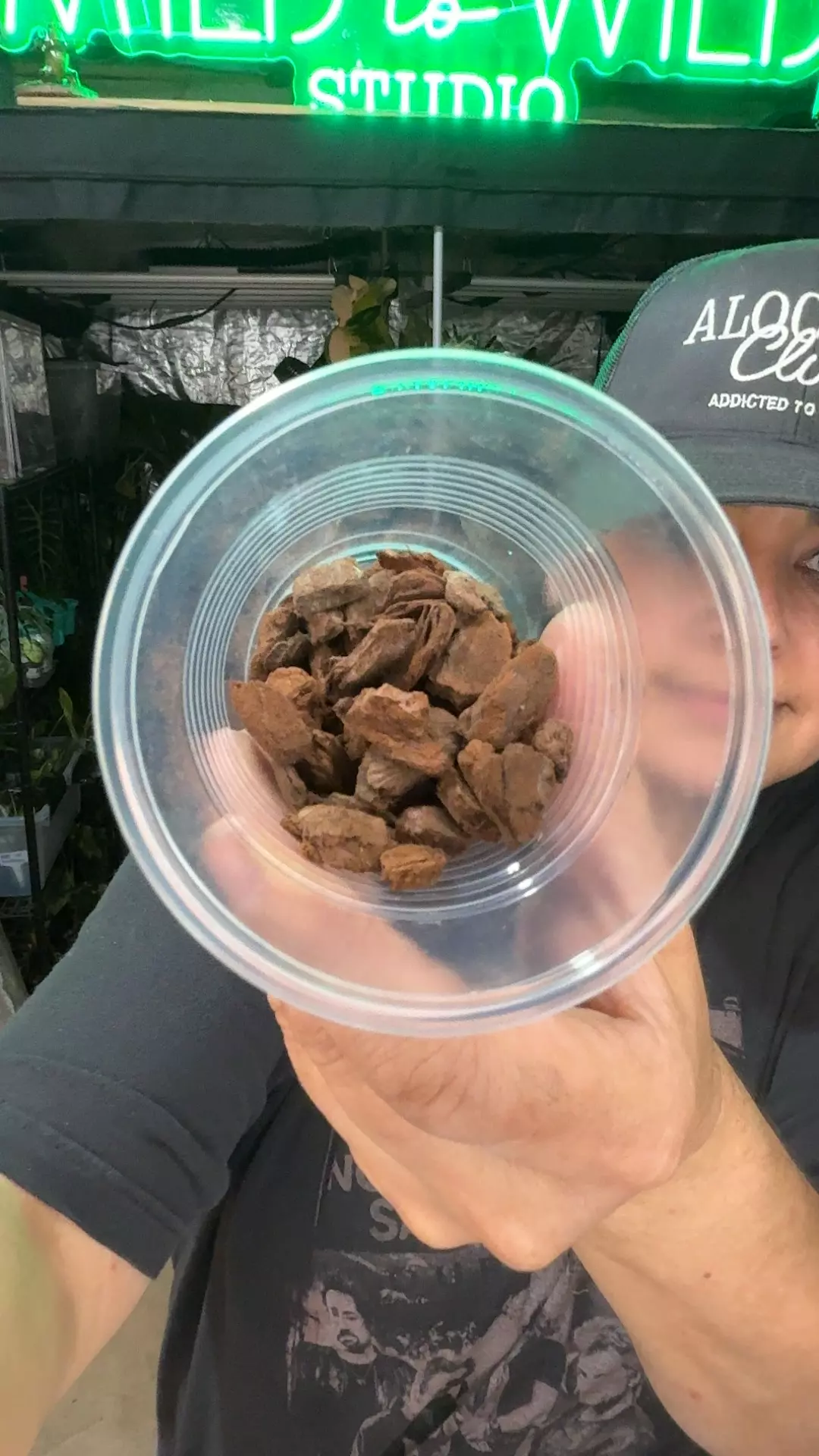 Medium orchid bark 1 gallon thumbnail