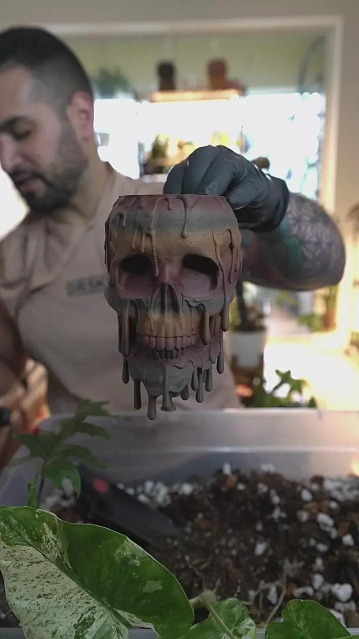 Melting Skull *exact* 2.5in x 3.5in pot - tigerwood thumbnail